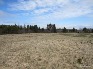 December Looking at House Site