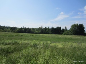 Field View Centre
