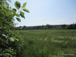 Field View Left