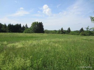 Field View Right