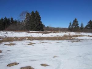 First Day of "Spring" for Canada
