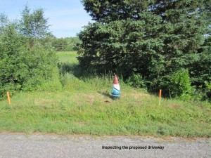 Knobby Inspecting Driveway Location