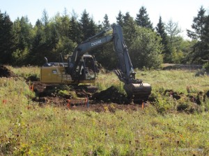 Peeling Decades of Sod