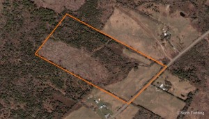 Satellite View of All 25 Acres