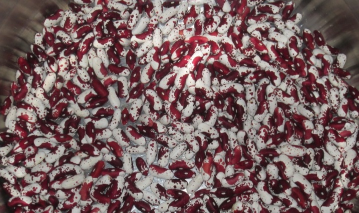 cranberry beans soaking