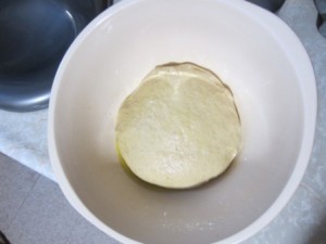 dough before rise