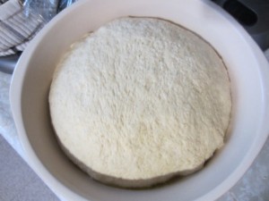 dough risen first hour
