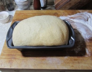 dough risen in pan