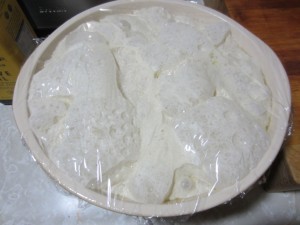 ciabatta after rise