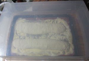 ciabatta dough cover
