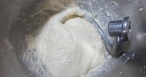 ciabatta wet dough