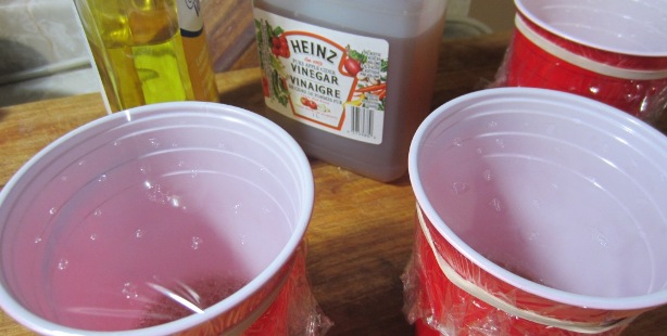 fruit fly traps