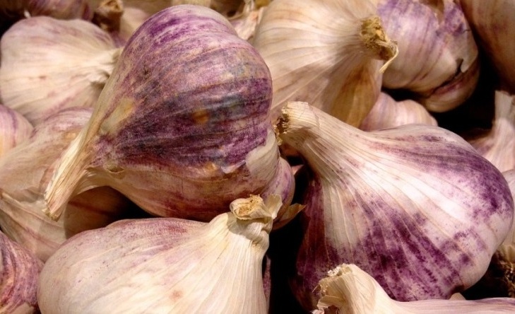 garlic bulbs