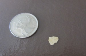 Enamel chip