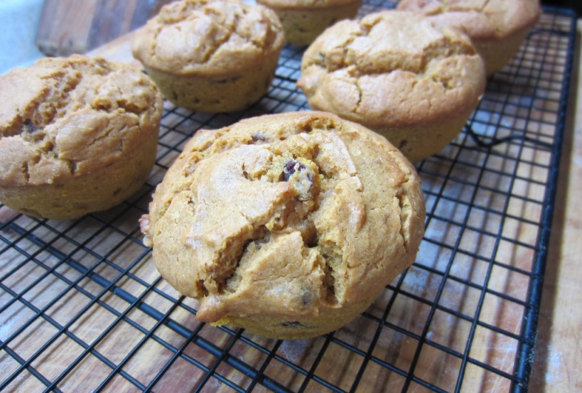 pumpkin muffin