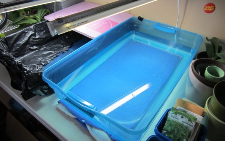 hydroponics preview
