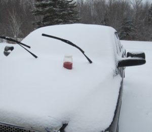salsa in the snow