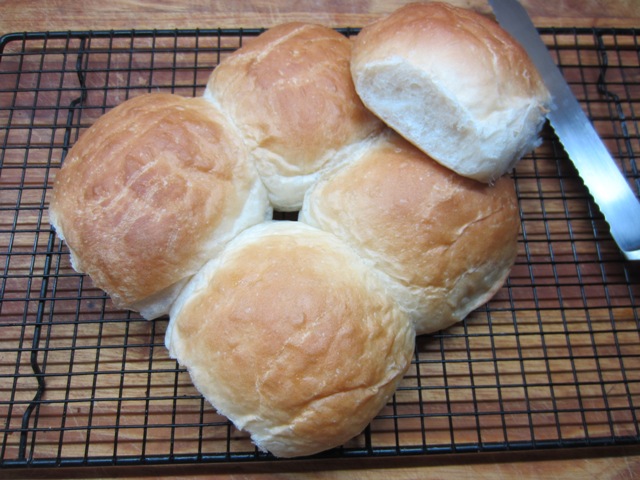 fresh buns