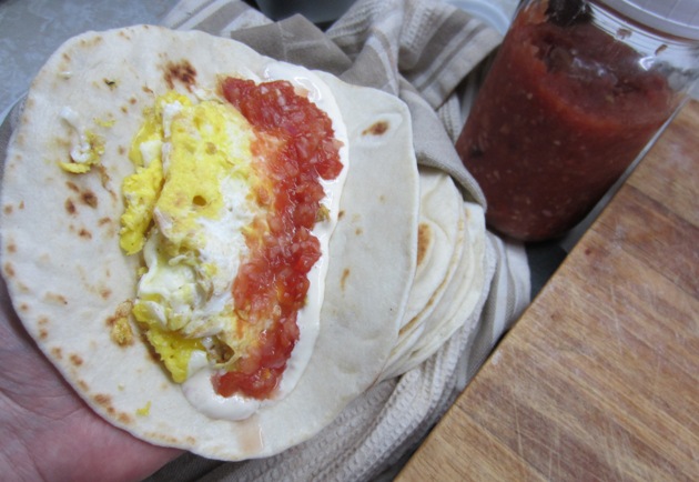 breakfast taco