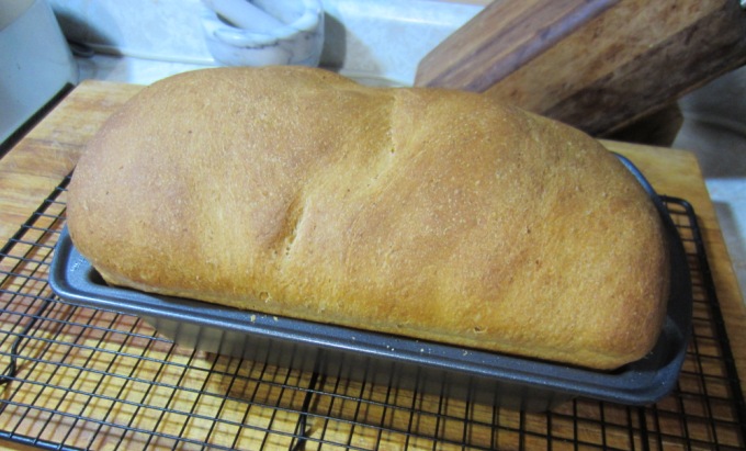 faster & faster daily bread