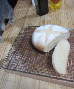 bloomer crumb