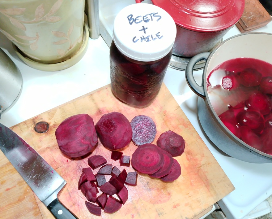 pickled beets